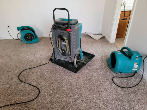 Best Water damage cleanup near me  in North Bennington, VT