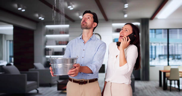 Best Basement water damage restoration  in North Bennington, VT